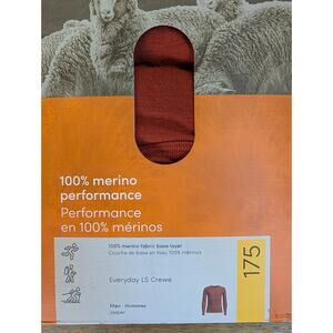 Icebreaker Everyday Long Crewe T Shirt Mens Small Jasper Merino Performance NWT